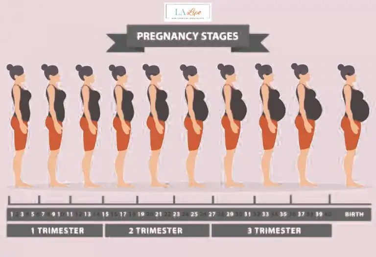 First Trimester (Weeks 1–12): Early Changes You Might Not Notice Sidcup